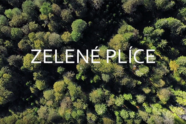 Zelené plíce